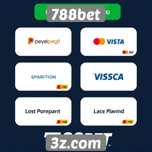 Métodos de pagamento aceitos pelo 788bet
